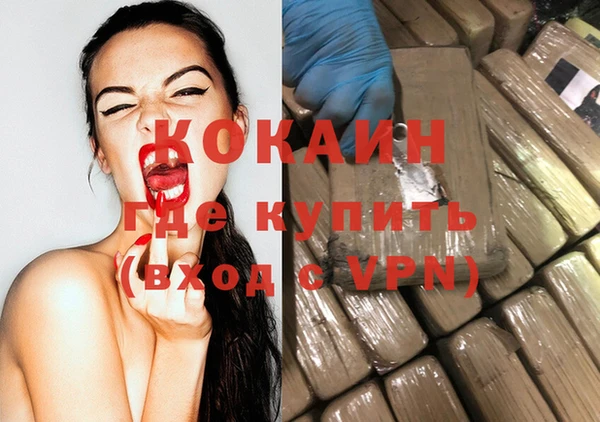 стафф Дмитров
