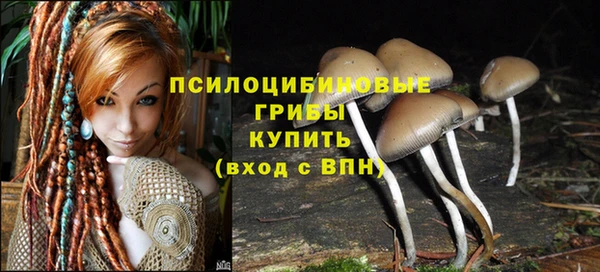 стафф Дмитров